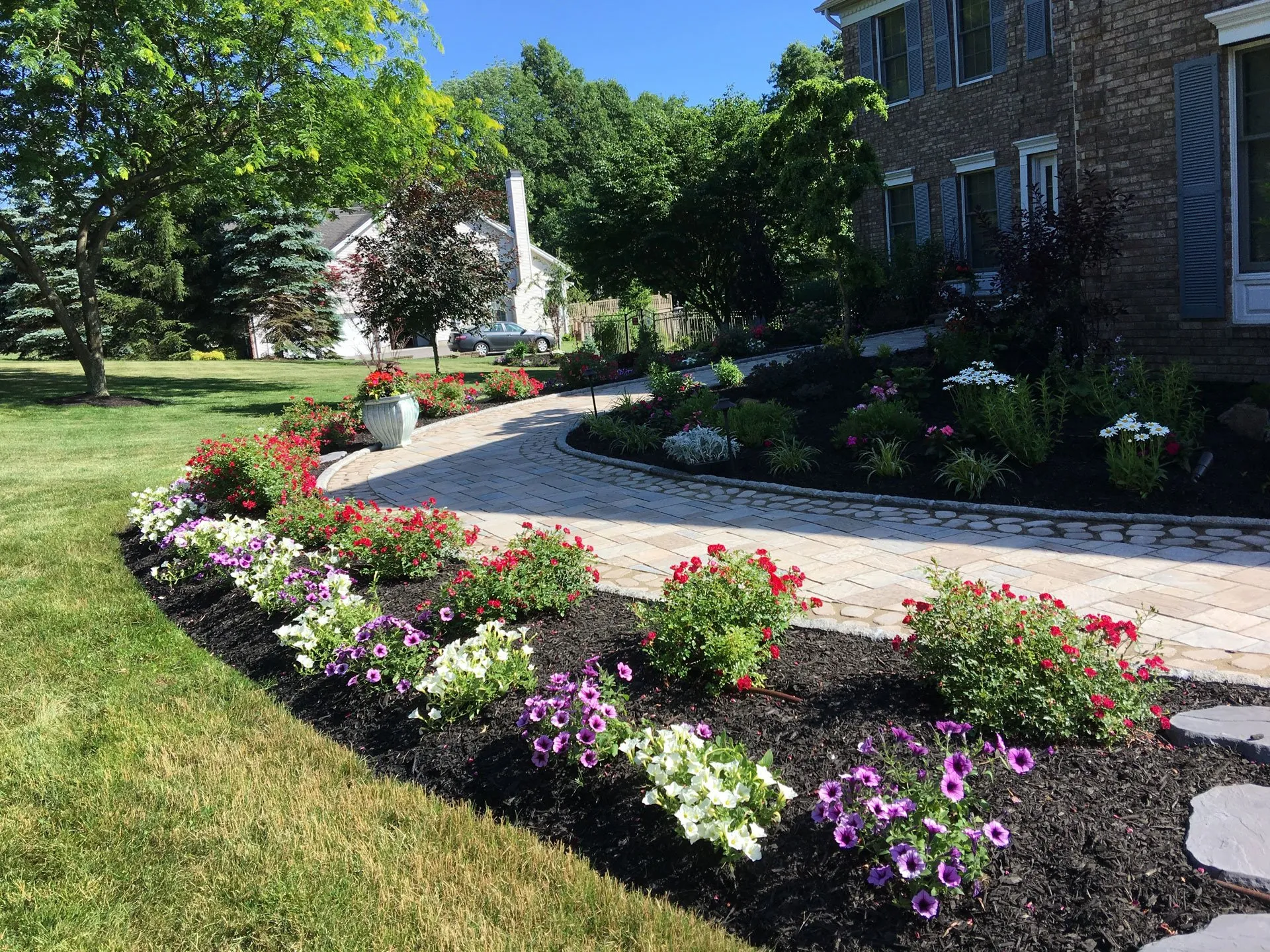 Landscape Cleanups example 2