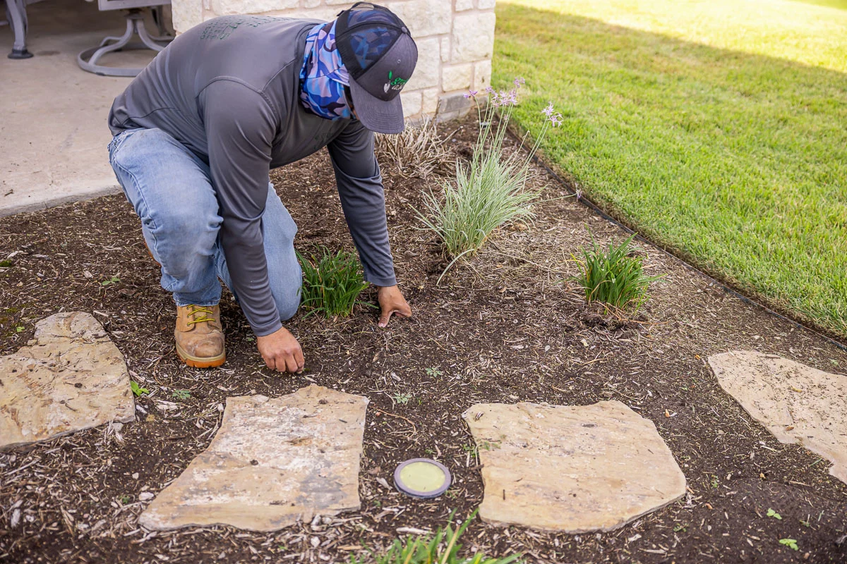 Landscape Cleanups example 3