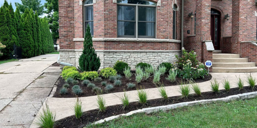 Landscape Cleanups example 5