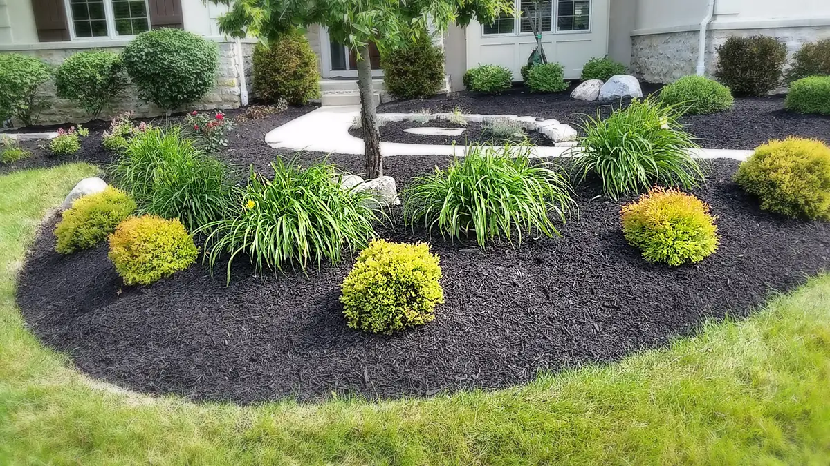 Mulch Installation example 2
