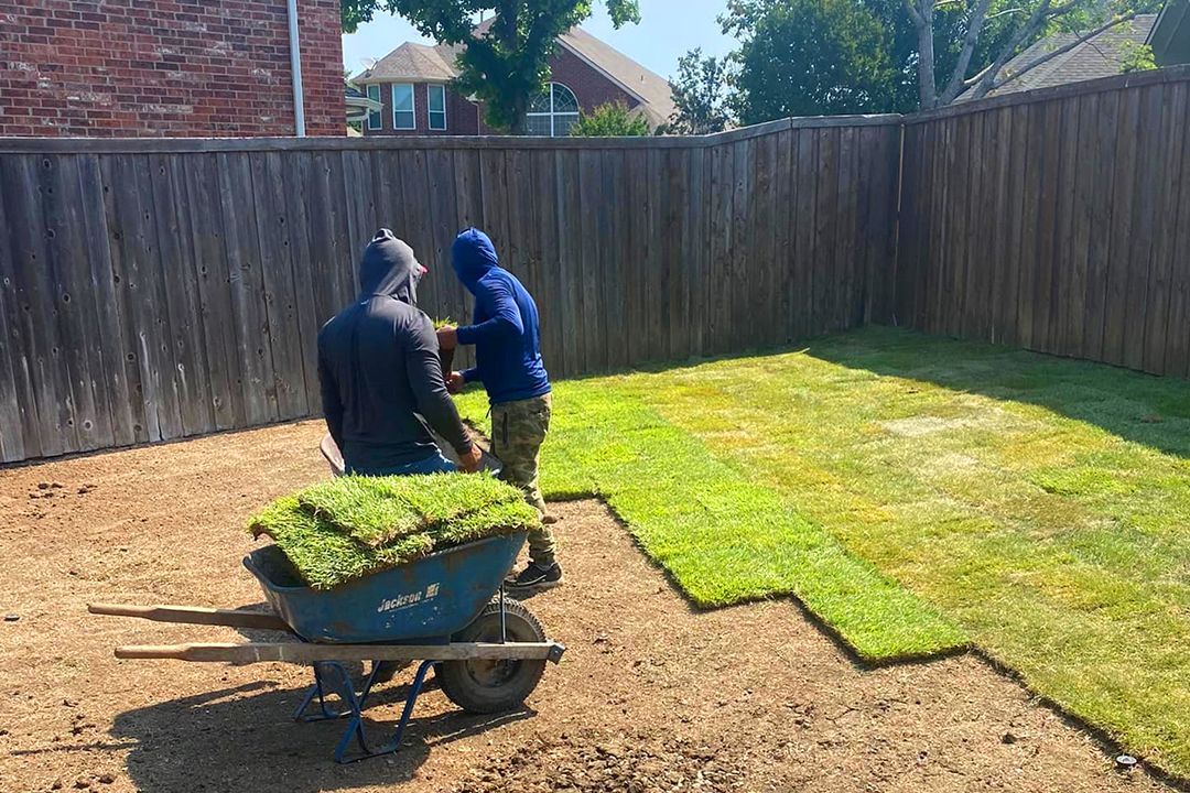 Sod Installation example 3