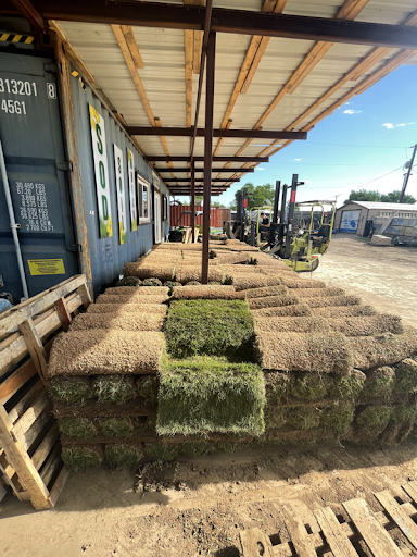Sod Installation example 6